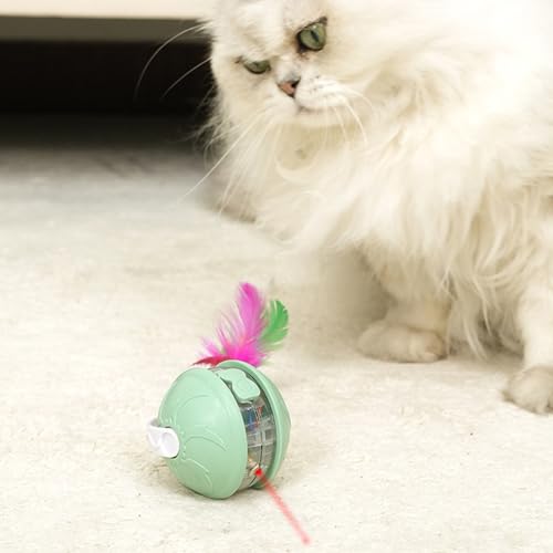 Beweglicher Ball Für Katzen | Interaktives Kätzchen Spielzeug Zum Jagen,Sicher Leises Trainingszubehör Für Bewegung Zu Hause Im Garten Auf Dem Balkon Beweglicher Ball Für Katzen | Interaktives Kätzchen Spielzeug Zum Jagen,Sicher Leises Trainingszubehör Für Bewegung Zu Hause Im Garten Auf Dem Balkon von Kasmole