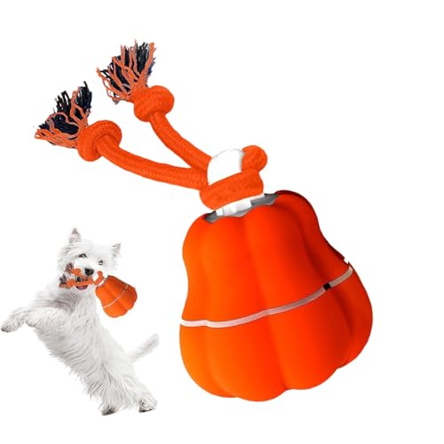 Hundebälle | Bewegungsaktivierter Ball | Interaktives Spielzeug Mit Licht Und Sound Für Kleine Hunde Welpen Kauer Gegen Langeweile Draußen Hundebälle | Bewegungsaktivierter Ball | Interaktives Spielzeug Mit Licht Und Sound Für Kleine Hunde Welpen Kauer Gegen Langeweile Draußen von Kasmole