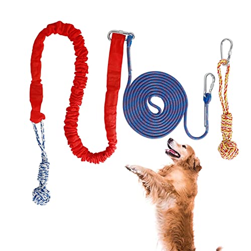 Kasmole Federstange für Hunde - Frühlingsseil-Kauspielzeug für Hunde | Interaktives, Robustes Hundeseilspielzeug für Außenterrassen, Indoor-Spiele und Camping von Kasmole
