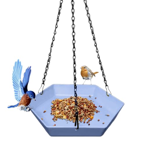 Kleines Vogelbad – Polygonales Tablett für Wellensittiche | Hängende Tränke für den Außenbereich, für Balkon, Terrasse, Garten, Park, Familie von Kasmole