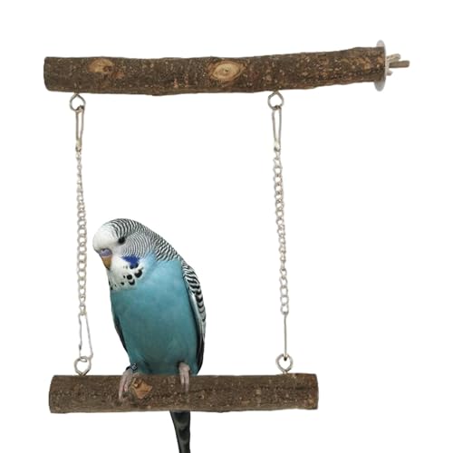 Papageienschaukel | Kolibri-Sitzstange aus Naturholz - Vogelspielzeug für kleine Vögel für Sittiche, Nymphensittiche Kasmole von Kasmole