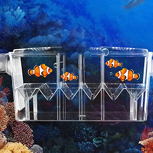 Zuchtbox für Aquarien | Zuchtfische Clear Fish Hatchery Breeder Box | Hatchery Incubator Box für Fische, Garnelen, Clownfische und von Kasmole