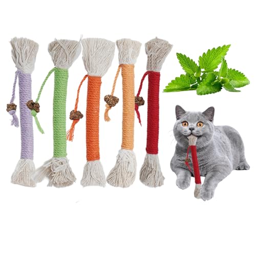 Kasoud Katzenbeißseil, Kauspielzeug, 5 Stück, Katzenminze-Spielzeug, Beißseil, natürliches Katzenminze-Kauseil, Beißseil, Katzenbeißspielzeug, Kätzchen-Zahnspielzeug, Kauspielzeug, Katzenminze von Kasoud