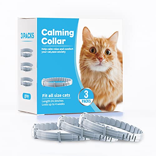 Kaspiu Beruhigendes Halsband für Katzen, Pheromon, beruhigend, Angst, Halsband für Katzen und Kätzchen, Stressabbau, entspannend, bequem, Breakaway-Design, Grau, 3 Stück von Kaspiu
