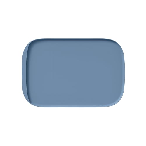 Hundefuttermatte, Silikon-Futtermatte für Haustiere, rutschfeste Katzennapfmatte, wasserdichtes Tablett-Kissen (Stein-Blau, 45x30 cm) von Kassiva