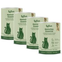 KatKare Hypo Kaninchen Essential 4x90 g von KatKare