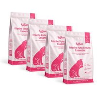 KatKare Pute & Huhn Essential 4x6 kg KatKare Pute & Huhn Essential 4x6 kg von KatKare