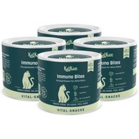 KatKare Vital Snacks Immuno Bites - Knusperkissen für das Immunsystem Deiner Katze mit Superfoods, wertvollen Aminosäuren, Antioxidantien und Omega-3 4x150 g von KatKare