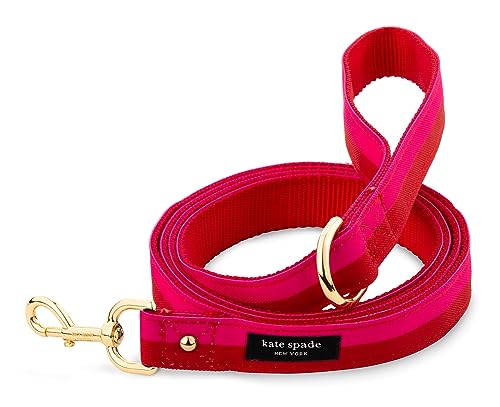 Kate Spade New York 1,8 m lange Hundeleine, robuste Leine für weibliche oder männliche Hunde, niedliche Haustier-Leine mit goldfarbenen Metallbeschlägen, lange Hundeleine für mittelgroße und große Kate Spade New York 1,8 m lange Hundeleine, robuste Leine für weibliche oder männliche Hunde, niedliche Haustier-Leine mit goldfarbenen Metallbeschlägen, lange Hundeleine für mittelgroße und große von Kate Spade New York