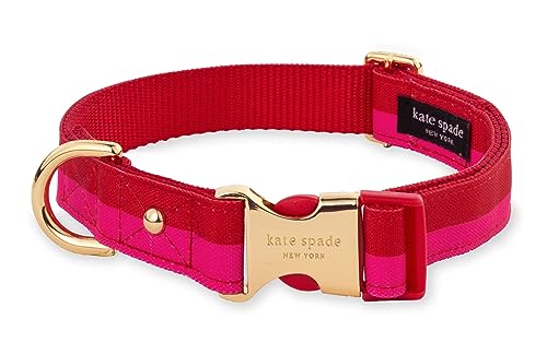 Kate Spade New York Niedliches Hundehalsband mit goldfarbener Metallschnalle, 29,2 cm bis 38,1 cm, verstellbares Halsband für Hündinnen oder Rüden, kleine und mittelgroße Rassen (Rot und Rosa) Kate Spade New York Niedliches Hundehalsband mit goldfarbener Metallschnalle, 29,2 cm bis 38,1 cm, verstellbares Halsband für Hündinnen oder Rüden, kleine und mittelgroße Rassen (Rot und Rosa) von Kate Spade New York