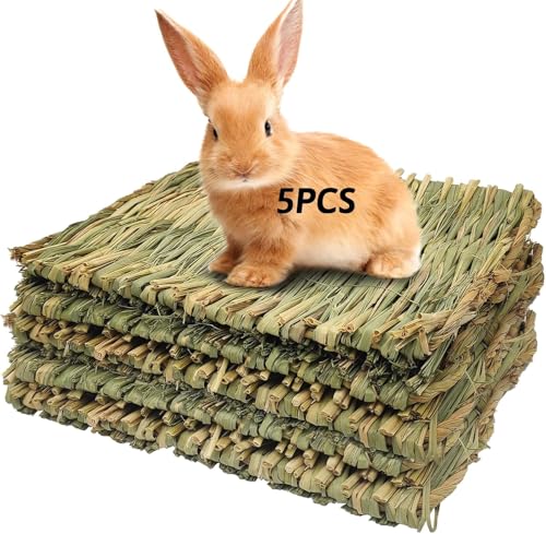Kathson Grasmatte Gewebte Bettmatte für Kleintiere 5 Stück Grasmatten Haseneinstreu Nest Kauspielzeug Bett-Spielzeug für Meerschweinchen Papagei Kaninchen Hase Hamster Ratte Kathson Grasmatte Gewebte Bettmatte für Kleintiere 5 Stück Grasmatten Haseneinstreu Nest Kauspielzeug Bett-Spielzeug für Meerschweinchen Papagei Kaninchen Hase Hamster Ratte von Kathson