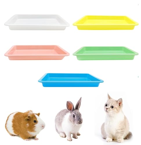 kathson 5 x Katzentoilette, Kunststoff, Katzentoiletten, Kätzchentoiletten mit 5 Farben, kleine, flache Kunststoff-Katzentoiletten, antihaftbeschichtet, für Kätzchen im Innenbereich kathson 5 x Katzentoilette, Kunststoff, Katzentoiletten, Kätzchentoiletten mit 5 Farben, kleine, flache Kunststoff-Katzentoiletten, antihaftbeschichtet, für Kätzchen im Innenbereich von Kathson