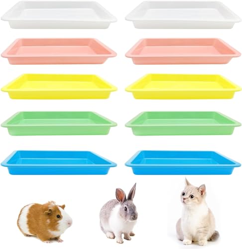 kathson Katzentoilette aus Kunststoff, mit 5 Farben, klein, flach, antihaftbeschichtet, für Kätzchen, 10 Stück von Kathson