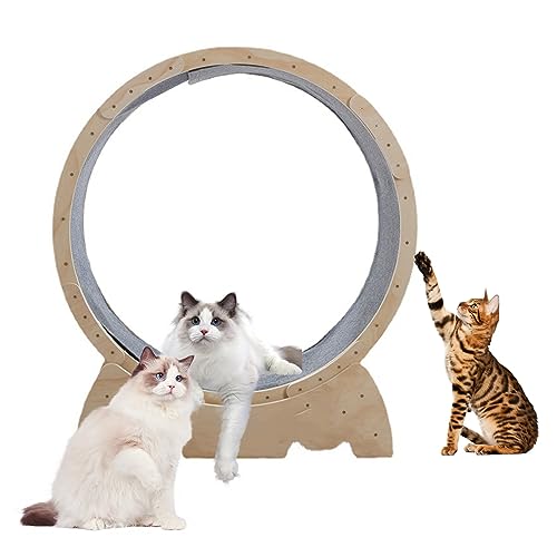 Katzen-Trainingsrad, Katzenlaufrad mit Feststellmechanismus, Holz Haustier Laufband, Katze Fitnessrad, Niedliche Katzenmöbel, Katzenlaufband, Katzenrad, Katzenspielzeug, Haustiere Gewichtsgerät Gelb von Katolang