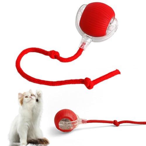 Katomi Elektrisches Katzenspielzeug, Interaktives Spielzeug für Katzen von Katomi