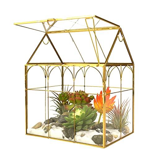 Großes Terrariumglas für Pflanzen, Glas, Gewächshaus, Terrarium mit Deckel, Innen-Tischplatte, Orchidee, Sukkulenten, Kakteen-Terrarium, Kit NA (Gold A) von Katouigb