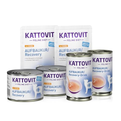 KATTOVIT – Aufbaukur/Recovery Probierpaket Small für Katzen mit Untergewicht, nach Verletzungen oder OP. Katzen-Nassfutter und Drink für ausgewachsene Katzen KATTOVIT – Aufbaukur/Recovery Probierpaket Small für Katzen mit Untergewicht, nach Verletzungen oder OP. Katzen-Nassfutter und Drink für ausgewachsene Katzen von Kattovit