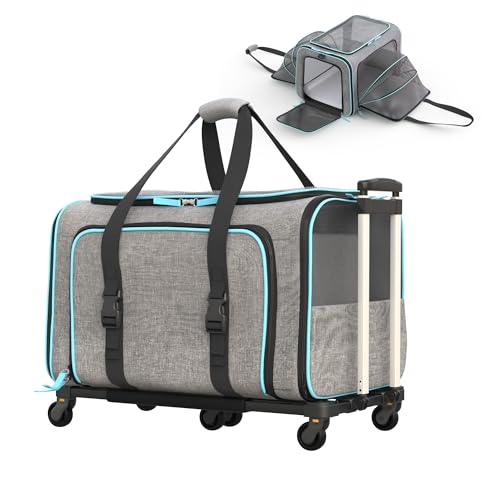 Katziela Rolling Rover Fluggesellschaftskonforme, erweiterbare Premium-Haustier-Tragetasche, 6 Räder, Bodenleiste, Teleskopgriff, zweiseitig, erweiterbar, Rolltrage entworfen (grau-blaue Paspelierung) von Katziela