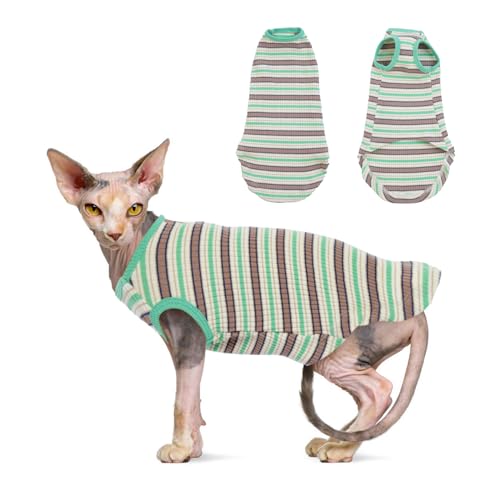 Katzinst Haarlose Sphynx Katzenkleidung Pullover für Katzen, Katzenpullover Katzenhemden, Gestreiftes Katzenhemd T-Shirts Atmungsaktive Katzenbekleidung Weste Pyjamas Overall für Katzen, Grün, XL Katzinst Haarlose Sphynx Katzenkleidung Pullover für Katzen, Katzenpullover Katzenhemden, Gestreiftes Katzenhemd T-Shirts Atmungsaktive Katzenbekleidung Weste Pyjamas Overall für Katzen, Grün, XL von Katzinst