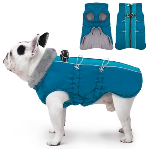 Katzinst Hunde Wintermantel, Ärmellose Wasserbeständig Hundejacke Reflektierend Hundejacke mit Bauchschutz Hundebekleidung Outfit Hundemantel für Grosse Hunde, Labrador, XL Katzinst Hunde Wintermantel, Ärmellose Wasserbeständig Hundejacke Reflektierend Hundejacke mit Bauchschutz Hundebekleidung Outfit Hundemantel für Grosse Hunde, Labrador, XL von Katzinst