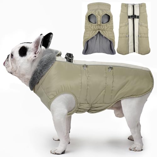 Katzinst Hunde Wintermantel, Ärmellose Wasserbeständig Hundejacke Reflektierend Hundejacke mit Bauchschutz Hundebekleidung Outfit Hundemantel für Grosse Hunde, Labrador, XL Katzinst Hunde Wintermantel, Ärmellose Wasserbeständig Hundejacke Reflektierend Hundejacke mit Bauchschutz Hundebekleidung Outfit Hundemantel für Grosse Hunde, Labrador, XL von Katzinst