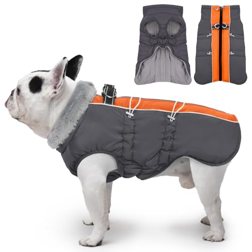 Katzinst Hunde Wintermantel, Ärmellose Wasserbeständig Hundejacke Reflektierend Hundejacke mit Bauchschutz Hundebekleidung Outfit Hundemantel für Grosse Hunde, Labrador, XL Katzinst Hunde Wintermantel, Ärmellose Wasserbeständig Hundejacke Reflektierend Hundejacke mit Bauchschutz Hundebekleidung Outfit Hundemantel für Grosse Hunde, Labrador, XL von Katzinst