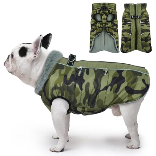 Katzinst Hunde Wintermantel, Ärmellose Wasserbeständig Hundejacke Reflektierend Hundejacke mit Bauchschutz Hundebekleidung Outfit Hundemantel für Grosse Hunde, Labrador, XL von Katzinst