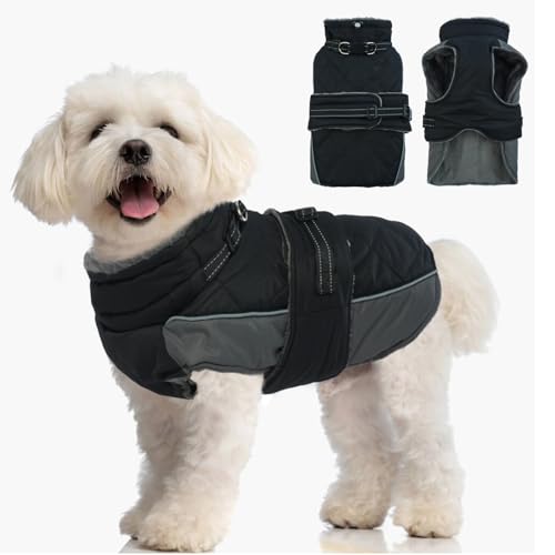 Katzinst Hundemantel, Hunde Wintermantel mit Reflektierenden Streifen, wasserdichte Hundemantel für Mittelgroße Hunde, Warmer Hundejacke mit weichem Fleecefutter für Bichon Frise,Schwarz,S Katzinst Hundemantel, Hunde Wintermantel mit Reflektierenden Streifen, wasserdichte Hundemantel für Mittelgroße Hunde, Warmer Hundejacke mit weichem Fleecefutter für Bichon Frise,Schwarz,S von Katzinst
