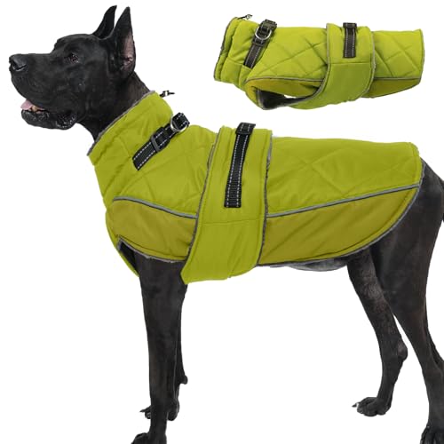 Katzinst Hundemantel Wasserbeständig Große Hunde mit Geschirr und Hohem Kragen, Schneeanzug Hundejacke für Kaltes Wetter, Deutsche Dogge Wintermantel, Spaziergänge im Schnee, Grün, 3XL Katzinst Hundemantel Wasserbeständig Große Hunde mit Geschirr und Hohem Kragen, Schneeanzug Hundejacke für Kaltes Wetter, Deutsche Dogge Wintermantel, Spaziergänge im Schnee, Grün, 3XL von Katzinst