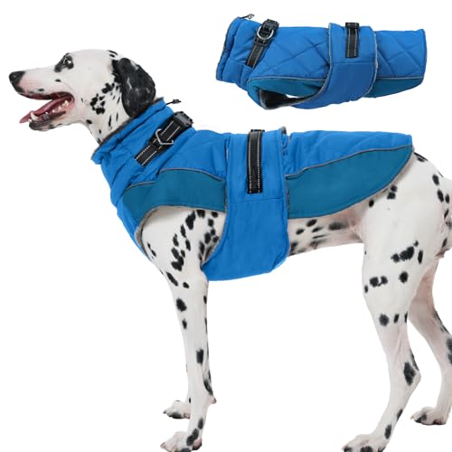 Katzinst Hund Mantel S, Hunde Wintermantel mit Hohem Kragen, Wintermantel Hund für Kleine Hunde, Hundejacke für Kaltes Wetter, Warmer Hundejacke mit Geschirr für Zwergschnauzer, Schneespiel, Blau, S von Katzinst