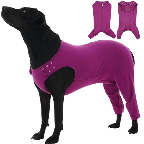 Katzinst Hundebody Nach Op, Hundebody Nach Op mit Reißverschluss Hinten für Hund Kastration Rüde Hündin，Anti-Wundlecken Hundeschenkel Schutz Bodysuit, Wundschutz, Op Body Hund,Lila,2XL von Katzinst