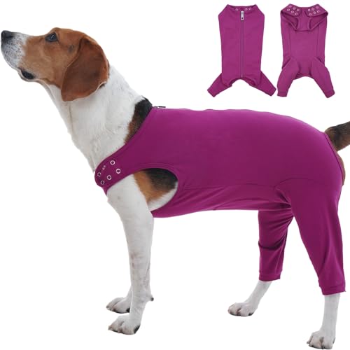 Katzinst Hundebody Nach Op, Hundebody Nach Op mit Reißverschluss Hinten für Hund Kastration Rüde Hündin,Anti-Wundlecken Hundeschenkel Schutz Bodysuit, Wundschutz, Op Body Hund,Lila,XL Katzinst Hundebody Nach Op, Hundebody Nach Op mit Reißverschluss Hinten für Hund Kastration Rüde Hündin,Anti-Wundlecken Hundeschenkel Schutz Bodysuit, Wundschutz, Op Body Hund,Lila,XL von Katzinst