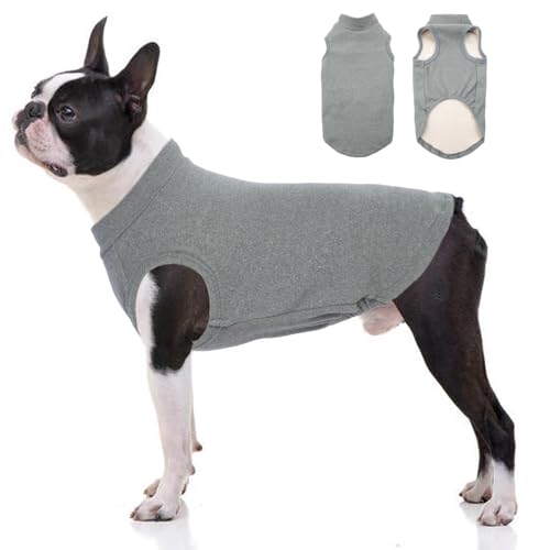 Katzinst Hundepullover Fleece Weste Dehnbares und Warmes Sweatshirt Hunde T-Shirt Hundepulli für Mittelgroße Hunde Pullover für Französische Bulldoggen Border-Collie Pitbulls Grau 2XL Katzinst Hundepullover Fleece Weste Dehnbares und Warmes Sweatshirt Hunde T-Shirt Hundepulli für Mittelgroße Hunde Pullover für Französische Bulldoggen Border-Collie Pitbulls Grau 2XL von Katzinst