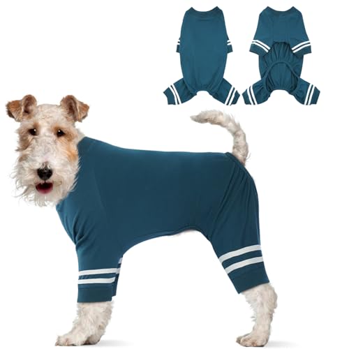 Katzinst Hunde Body,Hundekleidung Kleine Hunde,Kragen und Bündchen aus Rippstrick, Weich Atmungsaktiv Warmer Hundepyjama für Alle Jahreszeiten,Weißer Hundebody mit Doppelten Streifen,Blau XL Katzinst Hunde Body,Hundekleidung Kleine Hunde,Kragen und Bündchen aus Rippstrick, Weich Atmungsaktiv Warmer Hundepyjama für Alle Jahreszeiten,Weißer Hundebody mit Doppelten Streifen,Blau XL von Katzinst