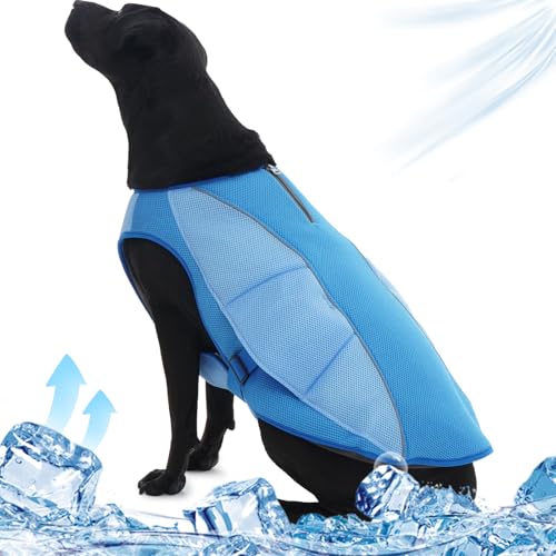 Katzinst Kühlweste für Hunde, Hundekühlwesten mit Reflektierenden Streifen, Sonnenschutz Sommer Leichte Atmungsaktive Große Hunde Kühlweste Spazierengehen Wandern Camping Blau 3XL von Katzinst