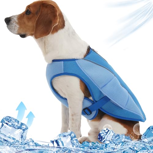 Katzinst Kühlweste für Hunde, Hundekühlwesten mit Reflektierenden Streifen, Sonnenschutz Sommer Leichte Atmungsaktive Mittelgroße Hunde Kühlweste Spazierengehen Wandern Camping Blau L Katzinst Kühlweste für Hunde, Hundekühlwesten mit Reflektierenden Streifen, Sonnenschutz Sommer Leichte Atmungsaktive Mittelgroße Hunde Kühlweste Spazierengehen Wandern Camping Blau L von Katzinst