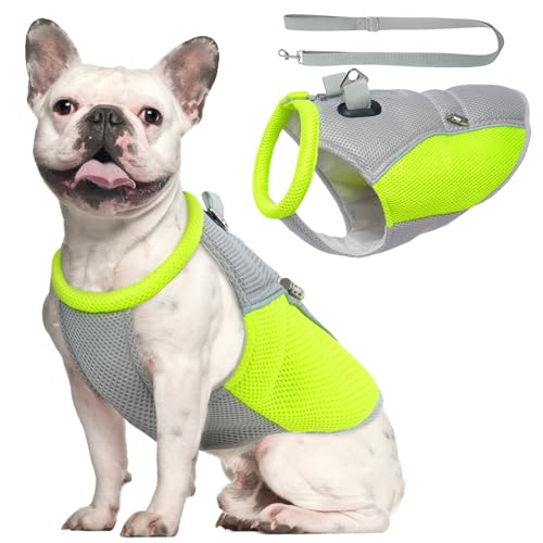 Katzinst Kühlweste für Hunde mit Leine, Hundegeschirr, Kühljacke mit V-Ring, leichte Verdunstungskühlweste für Sommer, heißes Wetter, Outdoor, Wandern, Wandern, Camping, Training, Jagd, Grau, Größe M Katzinst Kühlweste für Hunde mit Leine, Hundegeschirr, Kühljacke mit V-Ring, leichte Verdunstungskühlweste für Sommer, heißes Wetter, Outdoor, Wandern, Wandern, Camping, Training, Jagd, Grau, Größe M von Katzinst