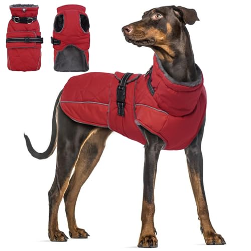 Katzinst Hundemantel, Hunde Wintermantel mit Reflektierenden Streifen, wasserdichte Hundemantel für Mittelgroße und Große Hunde, Warmer Hundejacke für Dobermann,Deutsche Dogge,Rot,3XL Katzinst Hundemantel, Hunde Wintermantel mit Reflektierenden Streifen, wasserdichte Hundemantel für Mittelgroße und Große Hunde, Warmer Hundejacke für Dobermann,Deutsche Dogge,Rot,3XL von Katzinst