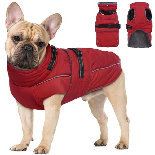 Katzinst Hundemantel, Hunde Wintermantel mit Reflektierenden Streifen, wasserdichte Hundemantel für Mittelgroße und Große Hunde, Warmer Hundejacke für Französische Bulldogge,Rot,L Katzinst Hundemantel, Hunde Wintermantel mit Reflektierenden Streifen, wasserdichte Hundemantel für Mittelgroße und Große Hunde, Warmer Hundejacke für Französische Bulldogge,Rot,L von Katzinst