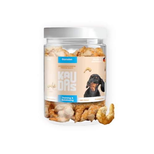 KAUDAS GarnelePur Natursnack – 2 x 50 g gefriergetrocknetes Garnelen Leckerli Hund mit hohem Proteingehalt, 100% natürlicher Hundesnack 250g Rohgewicht – ohne Zucker, Getreide & Zusatzstoffe von Kaudas
