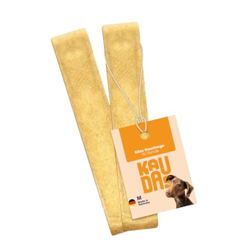KAUDAS Knabber Kaustange Käse – 2 x L Kauknochen Hund bis 22,7 kg aus 100% getrocknetem Hartkäse, Zahnreinigende Kaustange Hund für Stressabbau & Beschäftigung – ohne künstliche Zusatzstoffe von Kaudas