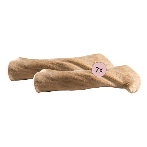 Kauies Kaffeeholz für Hunde - Hundespielzeug 100% natürlich, vegan, koffeinfrei & kalorienfrei, schadstoffgeprüft, langlebiges Kauholz für Hunde bis 12 kg, Größe S (2er Pack) von Kauies