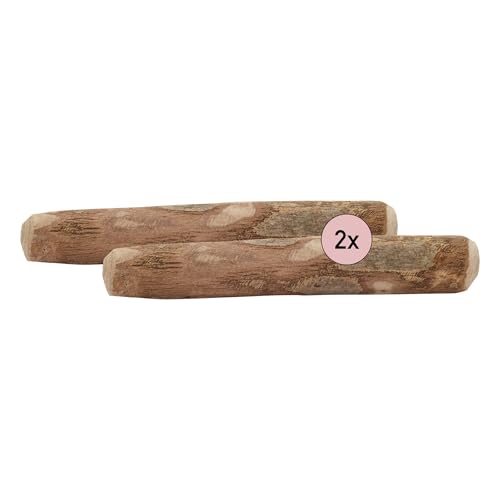 Kauies Olivenholz Kauknochen für deinen Hund - 100% natürlich, vegan & kalorienfrei - langelebiges Hunde-Spielzeug aus schadstoffgeprüftem Holz, Made in Germany, Größe S bis 10 kg (2er Pack) von Kauies