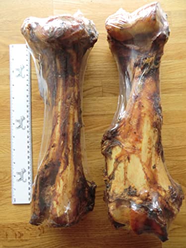 Kaureks Natur Hundeleckerlies, 2 STK.Pferdeknochen XXL ca.30 cm, wie Rinderknochen, Kausnack, Kauartikel Kaureks Natur Hundeleckerlies, 2 STK.Pferdeknochen XXL ca.30 cm, wie Rinderknochen, Kausnack, Kauartikel von Kaureks Natur Hundeleckerlies
