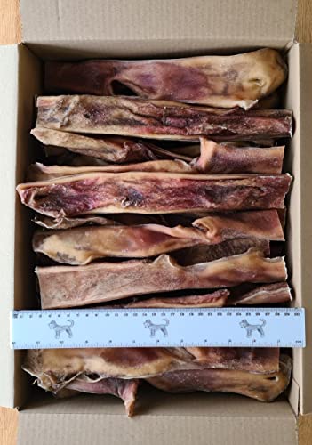 Kaureks Natur Hundeleckerlies 4 Kg. Rinderkopfhaut ca. 25-30 cm Kopfhaut Stangen für Hunde, wie Rinderknochen Kaureks Natur Hundeleckerlies 4 Kg. Rinderkopfhaut ca. 25-30 cm Kopfhaut Stangen für Hunde, wie Rinderknochen von Kaureks Natur Hundeleckerlies