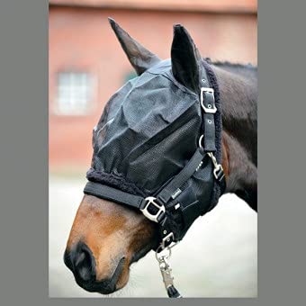Fliegenmaske mit Ohren Fliegenmaske mit Ohren von Kavalkade