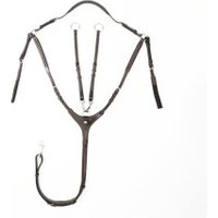 Kavalkade Vorderzeug Diandro VB/ COB (Vollblut) von Kavalkade