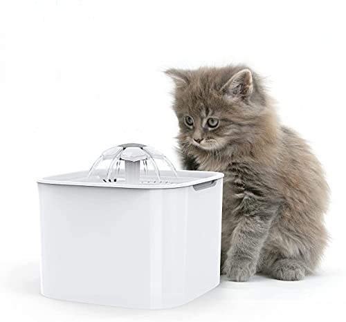 Kavolet 2 L Katzenbrunnen, Automatische Trinkbrunnen für Katze und Hunde, Selbstzyklus Ultraleiser Wasserbrunnen mit Filter, 2W Wasserpumpe für Katzen-Hundevogel-Meerschweinchen Kavolet 2 L Katzenbrunnen, Automatische Trinkbrunnen für Katze und Hunde, Selbstzyklus Ultraleiser Wasserbrunnen mit Filter, 2W Wasserpumpe für Katzen-Hundevogel-Meerschweinchen von Kavolet