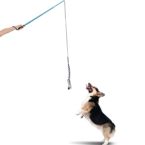 Kavolet Interaktive Hundespielzeug Hunde, Ausziehbare Hundewelpen Teaser Pole Hundeangel Pole Kauspielzeug Interactive Haustier Flirt Pole Training Exercise Seil Spielzeug (Größe L) von Kavolet