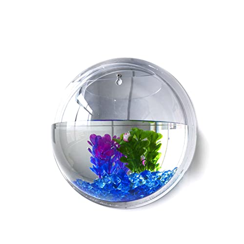 Kavolet Wand-Fischschale, kleines hängendes Goldfisch-Aquarium, klares Acryl, Betta-Fischtank, für Aquarium, Wandpflanzentopf, Dekoration, Pflanzgefäß, Blume Kavolet Wand-Fischschale, kleines hängendes Goldfisch-Aquarium, klares Acryl, Betta-Fischtank, für Aquarium, Wandpflanzentopf, Dekoration, Pflanzgefäß, Blume von Kavolet